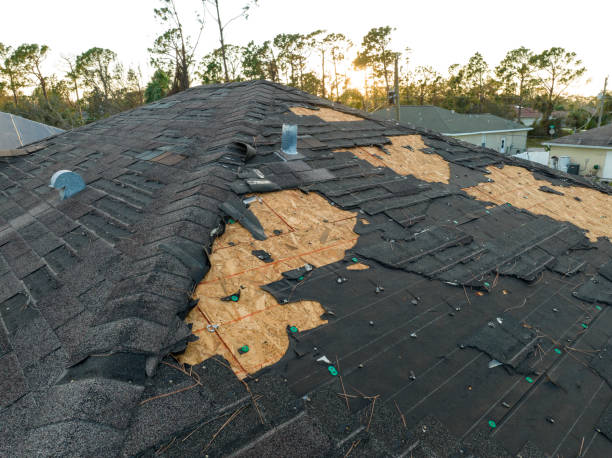 Best Skylight Installation and Repair  in Turley, OK