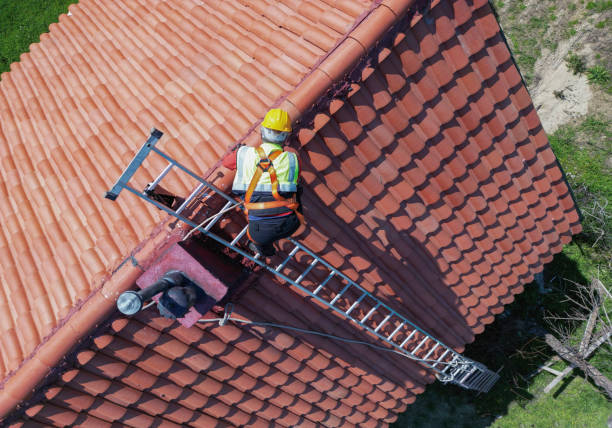 Best Roof Moss and Algae Removal  in Turley, OK